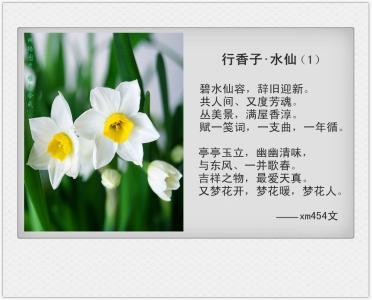 宋词格律词谱查询表 宋词格律词谱查询表·行香子