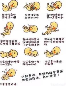 怀孕多久可以做亲子鉴定 胎动的时间