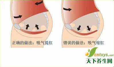握固 提肛与握固