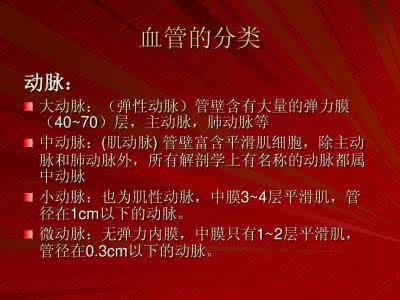 脑血管梗死 超全脑血管解剖 梗死责任血管判定大放送