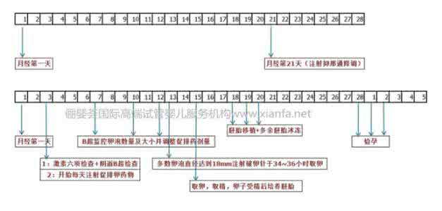 试管婴儿长方案全流程 试管婴儿：长方案和温和方案比较