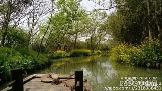 小米6手机拍照样张 乐视手机X600拍照样张怎么样