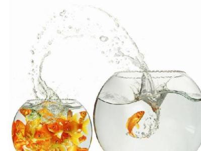 养鱼聚财 风水养鱼讲究:养鱼聚财并非人人适宜