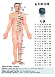 人体经络口诀 人体经络养生图册