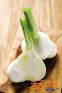 大蒜防癌要注意吃法 大蒜吃法 大蒜怎么吃 大蒜吃法决定防病功效