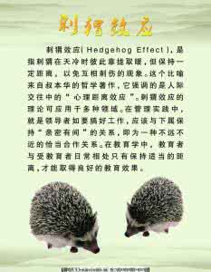 刺猬效应 《刺猬效应——打造高绩效团队的秘诀》（摘要）_刺猬效应是什么意思