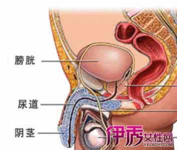 龟头发红但是不痛不痒 龟头发红但是不痛不痒 龟头痛发红怎么回事？