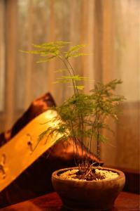 江南文化精神 高雅的精神享受 极品茶音乐40首【江南制作】