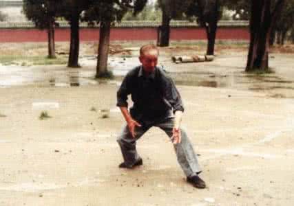大成拳（意拳）伏虎桩练习要诀_禅武国学养生书院