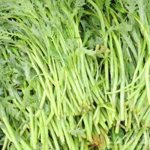 降血压食谱 养生食谱 茼蒿怎么吃 茼蒿这样吃有效降血压