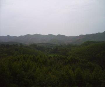 坟墓风水知识形峦赏析 转载 随行随拍形峦篇