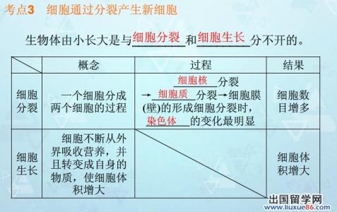 中考生物细胞通过分裂产生新细胞试题练习