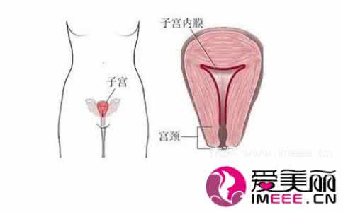 卵巢子宫保养小妙招 女人子宫保养7大妙招_让女性子宫更年轻的几种方法