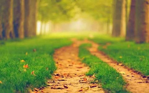 生活中善良的事例 请带着善良上路