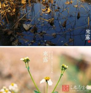 寒露节气 寒露节气中医美容护肤秘方