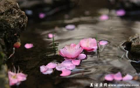 心灵云霞 流水落花，心若云霞