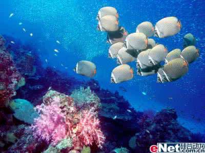 夏日摄影技巧 夏日摄影的10个技巧 夏日海洋摄影技巧