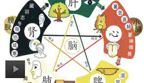 五味与五脏的关系 中医的五脏和五味详解！