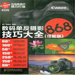 数码单反摄影技巧大全 数码单反不能比拟的功能技巧