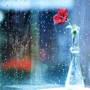 晚安心语 晚安心语：情到深处无由，爱到浓时不语