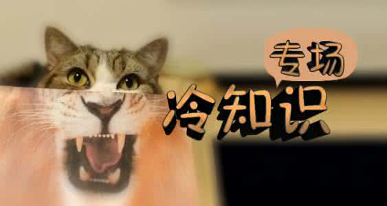 猫咪冷知识 你不知道的关于猫咪的7条冷知识！