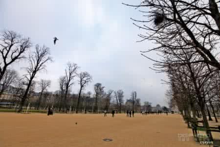 摄影的诀窍构图与用光 摄像构图中的3个小诀窍