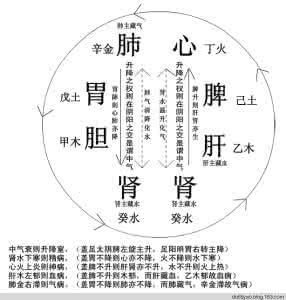 脾胃升降失调 脾与胃篇--升降出入四药：枳壳，桔梗，木香，炙甘草