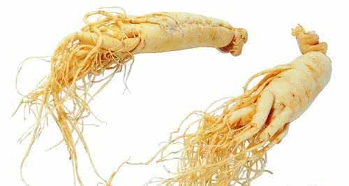 人参与党参的区别 人参与党参 人参与党参的区别