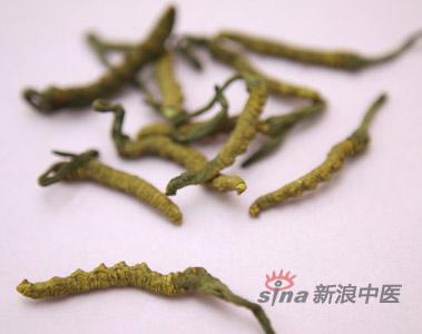 名贵中药材有哪些 名贵中药材夏天怎么保存