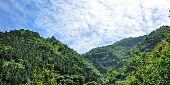 骊山行宫 唐太宗曾在骊山行宫洗沐狩猎 骊山并无大片竹林