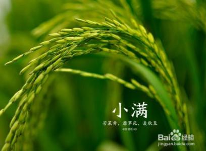 小满时节 【健康】小满时节，养生之道！