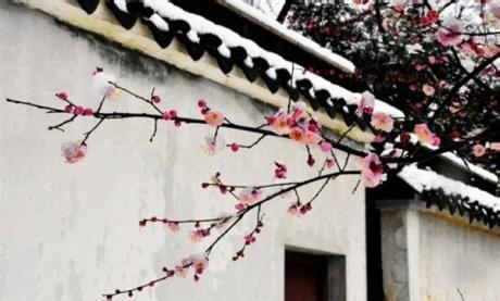 电车痴汉1 3动漫视频 夜阑频痴语,偷将春唤醒