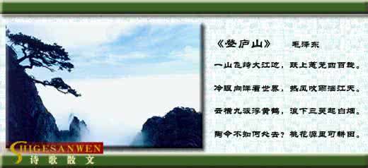 电视诗歌散文 电视诗歌散文 电视诗歌散文