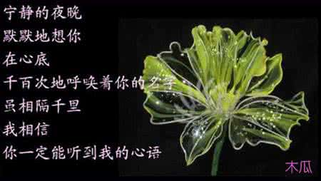 轻轻絮语的意思是什么 牵挂是灵魂的絮语