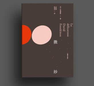 微妙 大卫·冯金诺斯《微妙》书摘
