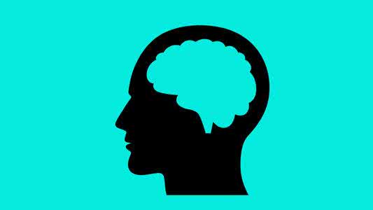 冷知识 你不知道的冷知识 文玩知识！文玩大起底，解密不知道