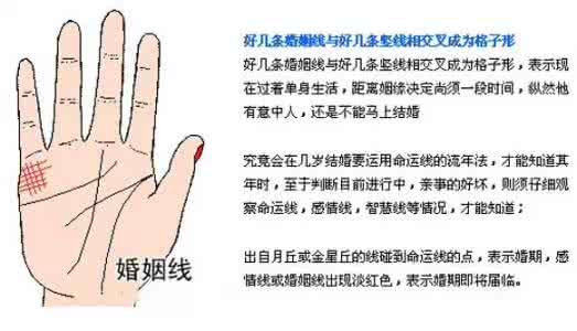 手相看左手还是右手 手相看左手还是右手 手相剖析，看左手还是右手？