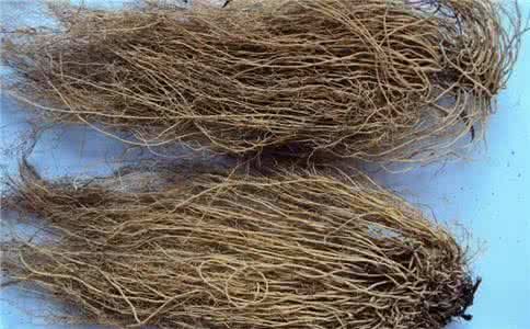 细辛 牙痛 一味细辛止牙痛