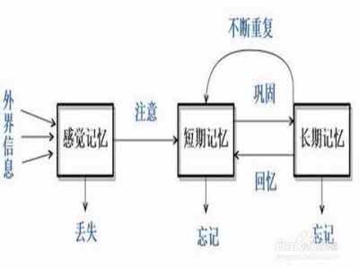 记忆宫殿怎么用来背书 比简单重复更好的记忆方法_背书的好方法