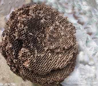 鼻炎小偏方 偏方验方|巧治鼻炎,8个小偏方