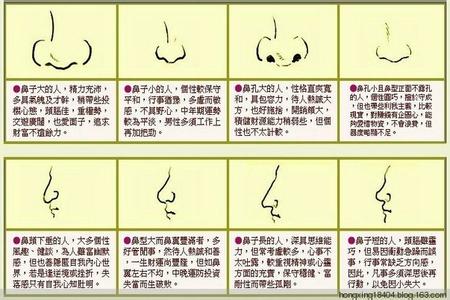 面相学鼻子 面相学鼻子和十種面形之图解