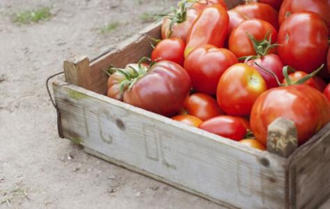 大蒜泡酒治疗胃癌 番茄大蒜防癌一级棒 常吃八种食物远离胃癌！