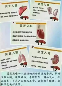 变帅的十大改造守则 保肝十大守则