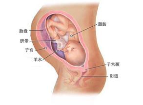 怀孕初期胃涨如何缓解 怀孕初期胃涨如何缓解 怀孕初期如何缓解疲劳