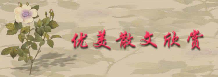 写关于人生哲理的散文 关于人生的优美散文