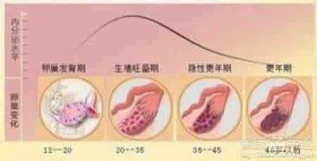 卵泡发育不好的症状 卵泡发育不好的症状有哪些