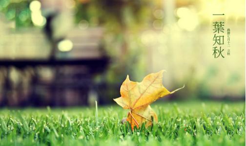 立秋养生吃什么 ? 8月8日立秋，立秋养生吃什么？