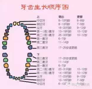 电脑常见问题解决大全 换牙期间常见问题及其解决