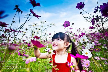 丁香花菩提树txt下载 花在菩提下,人在红尘