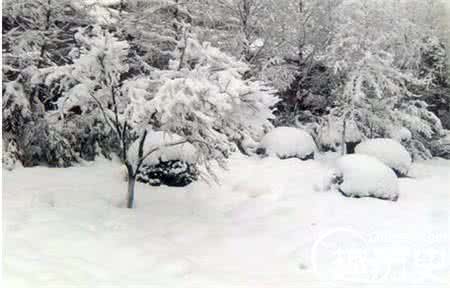 台风带来的灾害 雪灾带来的灾害有哪些